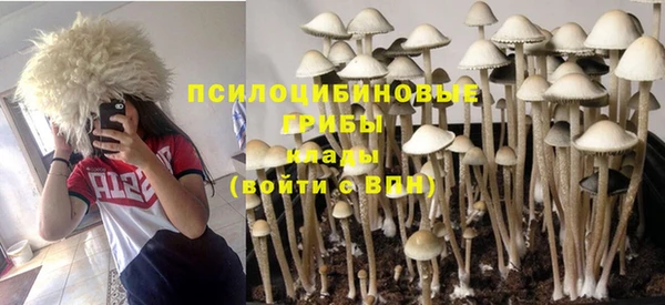 спайс Вяземский